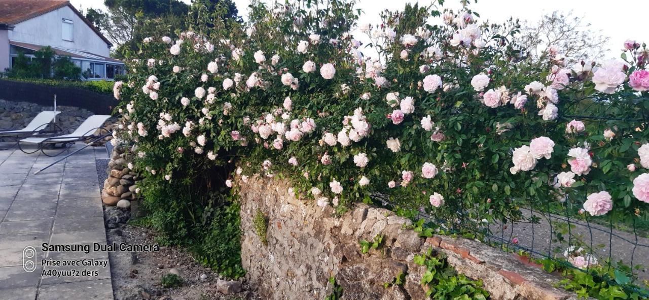 La Medeenne Alairac ภายนอก รูปภาพ